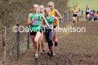 Womens under-17s, 2020 British Athletics Inter Counties Cross Country Champs., Prestwold Hall, Loughborough. Photo: David T. Hewitson/Sports for All Pics